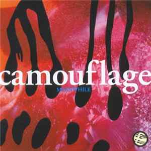 Camouflage - Meanwhile FLAC