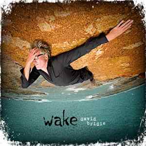 David Bridie - Wake FLAC