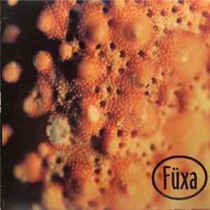 Füxa - Accretion FLAC