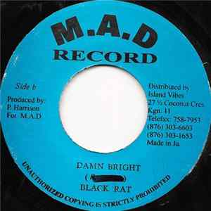 Alley Kat / Black Rat - No Type / Damn Bright FLAC