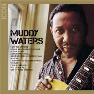 Muddy Waters - Icon FLAC