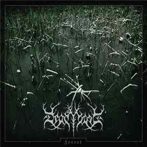 Deadtrees - Forest FLAC
