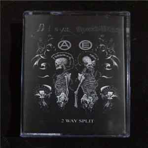 Dism / Speedwitch - 2 Way Split FLAC