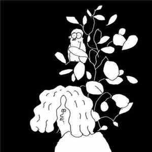Arnaldo - Your Favourite Colour Is Green Yet You Dress In Black FLAC