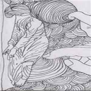 The Fresh & Onlys - Bomb Wombs FLAC