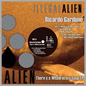 Ricardo Garduno - There's A Whale In My Soup EP FLAC