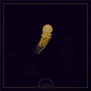 There Will Be Tranquility - There Will Be Tranquility FLAC