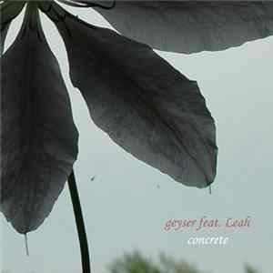 Geyser - Concrete FLAC