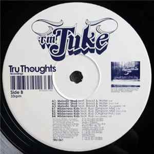 TM Juke - Melodic Stroll FLAC