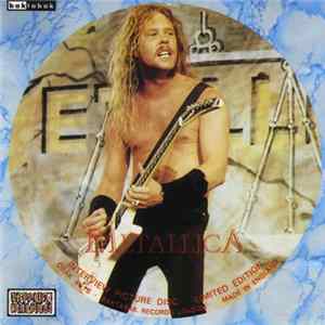 Metallica - The Metallica Interviews FLAC
