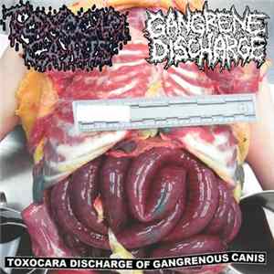 Toxocara Canis / Gangrene Discharge - Toxocara Discharge of Gangrenous Canis FLAC