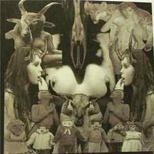 A.P.F.A.P.W.A.A. / Hate Junkie - Untitled FLAC