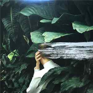 From Indian Lakes - Everything Feels Better Now FLAC