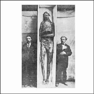 Nagual - String Music for the End Times FLAC