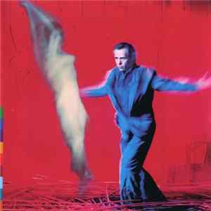 Peter Gabriel - Us FLAC
