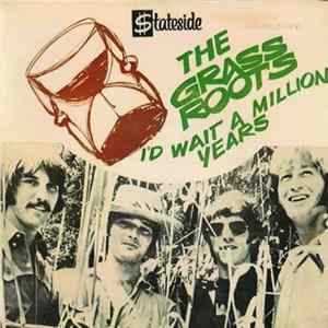 The Grass Roots - I'd Wait A Million Years FLAC
