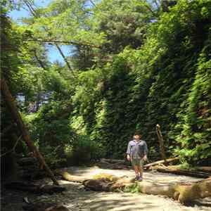 Hush Arbors - Albion Way FLAC