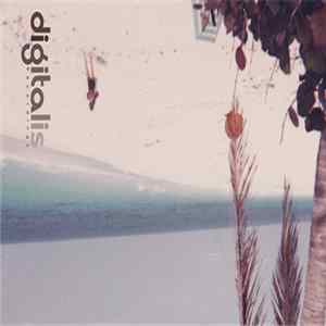 Josh Mason - Timecode Beach FLAC