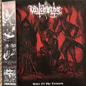 Witch King - Voice Of The Ossuary FLAC