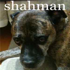 Shahman - Shahman FLAC