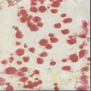 Uton - Suoniin, Luihin, Ytimiin FLAC