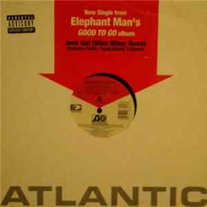 Elephant Man - Jook Gal (Wine Wine) (Remix) FLAC