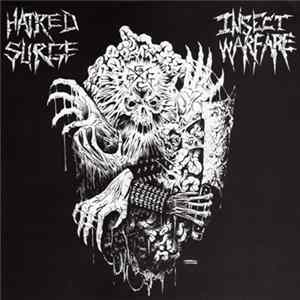 Insect Warfare / Hatred Surge - Insect Warfare / Hatred Surge FLAC