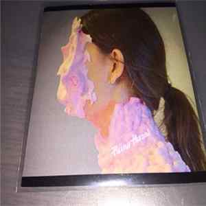 Pillow Person - On Your Way FLAC