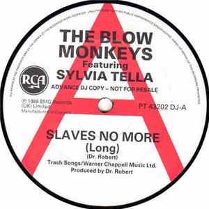 The Blow Monkeys Featuring Sylvia Tella - Slaves No More FLAC