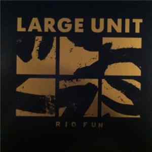 Large Unit - Rio Fun FLAC