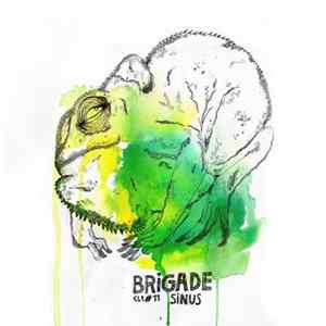 Brigade - Sinus FLAC