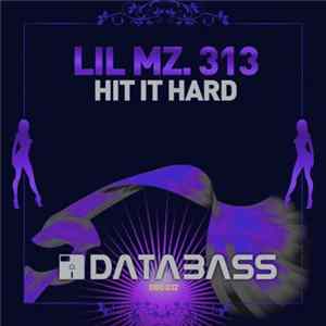 Lil Mz. 313 - Hit It Hard FLAC