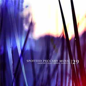 Various - 29 - Free Ambient Electronic Sampler FLAC