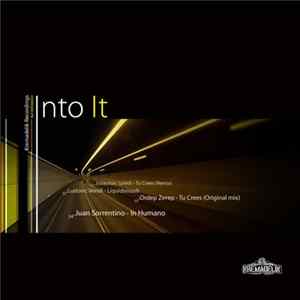 Various - Into It FLAC