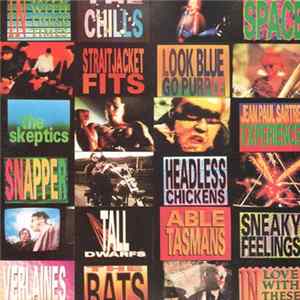 Various - In Love With These Times - A Flying Nun Compilation FLAC