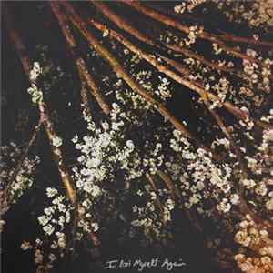 Forever Losing Sleep - I Lost Myself Again FLAC