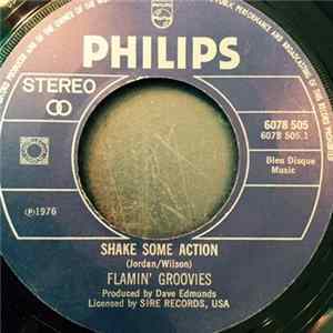 The Flamin' Groovies - Shake Some Action FLAC