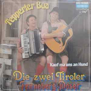 Die Zwei Tiroler Fenneberg-Moser - Tepperter Bua FLAC