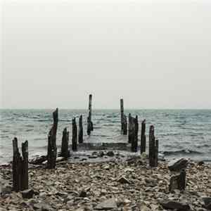 Various - Emotive FLAC