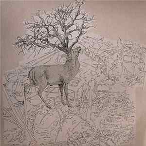 St. Plomb - Wild At Heart FLAC