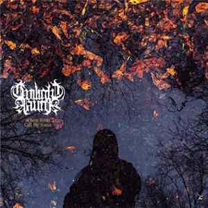Twilight Fauna - Where Birds Sing My Name FLAC