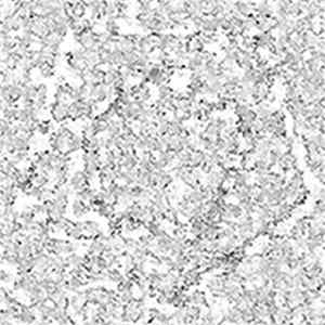Autohypnosis - The Surface FLAC