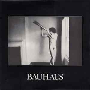 Bauhaus - In The Flat Field FLAC