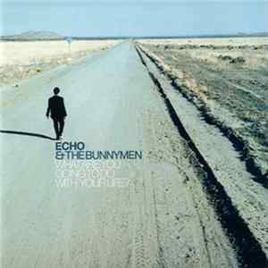 Echo & The Bunnymen - What Are You Going To Do With Your Life? FLAC
