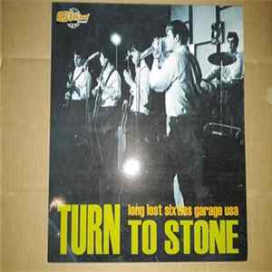 Various - Turn To Stone (Long Lost Sixties Garage USA) FLAC