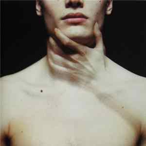 Placebo - The Bitter End FLAC