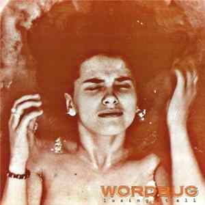 Wordbug - Losing It All FLAC