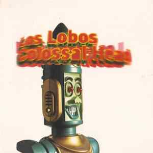 Los Lobos - Colossal Head FLAC