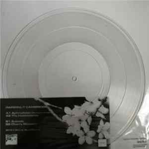 Papernut Cambridge - Cherry Blossom FLAC