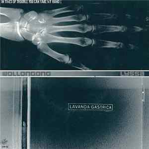 Lyssa / Wollongong - Lavanda Gastrica / In Times Of Trouble You Can Take My Hand FLAC